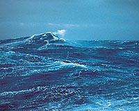 Oceans becoming nosier thanks to pollution -- report