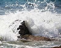 Scientists turn seawater into drinkable freshwater