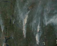 OCO-2 Data to Lead Scientists Forward into the Past
