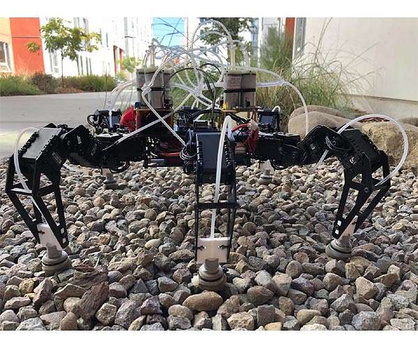 'Chaotic' way to create insectlike gaits for robots