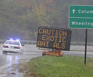 Ohio under pressure to pass wildlife law