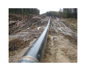 Russia identifies main environmental risks
