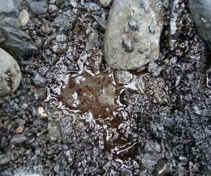 Predicting Amount Of Oil In Contaminated Soils
