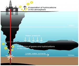 Study by Haverford College professor reveals unprecedented impact of Deepwater Horizon on deep ocean