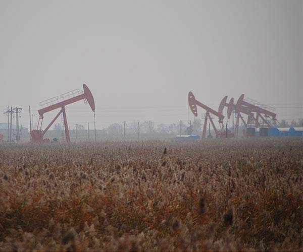 Global oil demand growth slows as China slumps: IEA