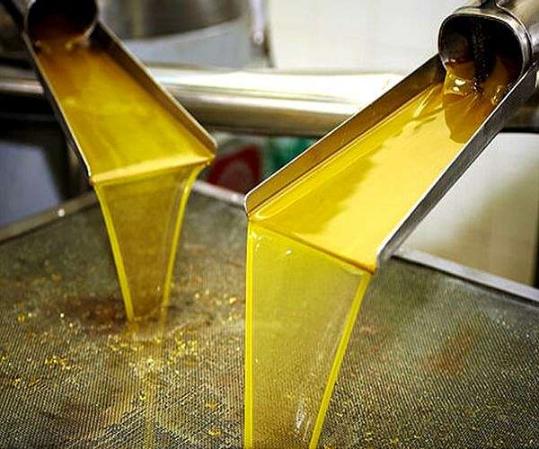 Tunisian startup turns olive waste into clean energy