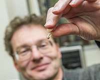 Diamonds from the deep: Study suggests water may exist in Earth's lower mantle