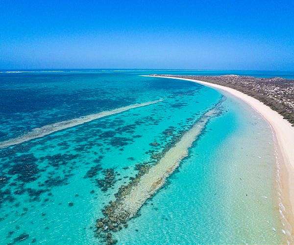 Volunteer divers guard Oman's 'unique' coral reefs