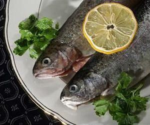 Why fish is so good for you