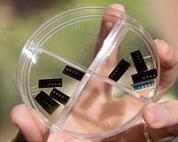 A step towards keeping up with Moore's Law
