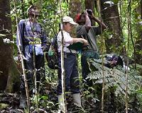 Gardeners of Madagascar rainforest at risk