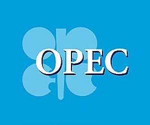 OPEC: Iran-Iraq alliance weakens Saudis