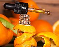Orange, tea tree and eucalyptus oils sweeten diesel fumes