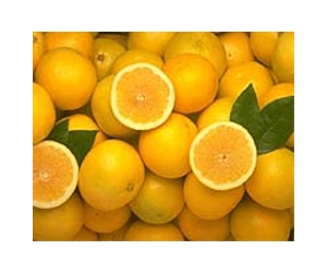 Bitter Florida cold drives up orange juice prices
