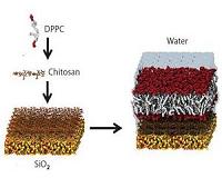 Artificial membranes on silicon