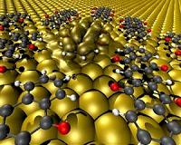 Coulomb blockade in organic conductors found, a world first