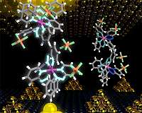 Organic memory devices show promise for flexible, wearable, personalized computing