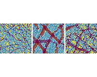 X-ray vision reveals how polymer solar cells wear out