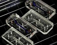 Reverse engineering human biology with organs-on-chips