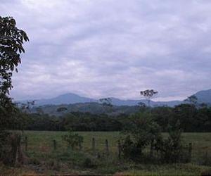 The natural ecosystems in the Colombian Orinoco Basin are in danger