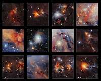Hidden secrets of Orion's molecular clouds