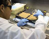 New Plant Habitat Will Increase Harvest on International Space Station