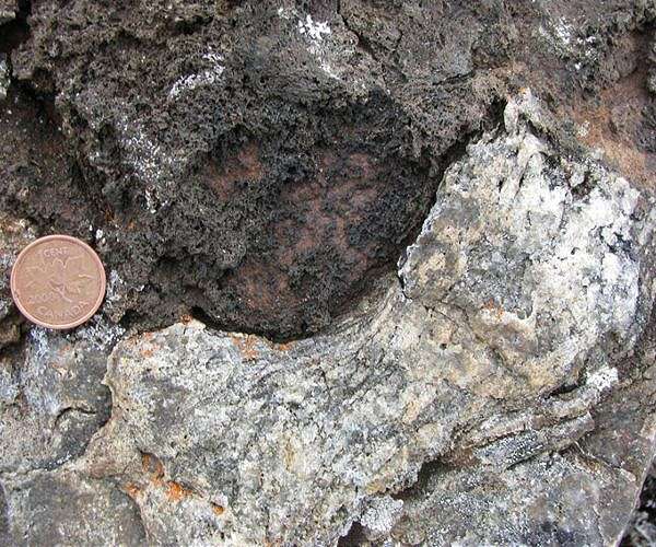 Geoscientists shed a light on life's evolution 800 million years ago
