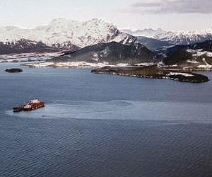 Simple Approach Could Clean Up Oil Remaining From Exxon Valdez Spill