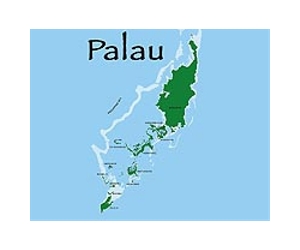 Pacific's Palau mulls drone patrols to monitor waters