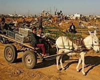 Palestinian farmers struggle with water crisis