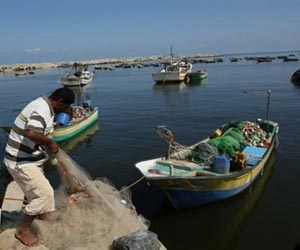 Fishers near marine protected areas go farther for catch but fare well
