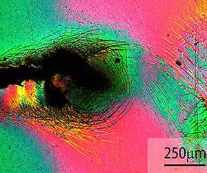 Overcoming Brittleness: New Insights into Bulk Metallic Glass