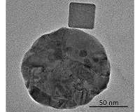 Watching nanoparticles