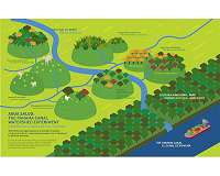 Panama's native tree species excel in infertile tropical soils