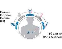 Two Months to Stop Pandemic X from Taking Hold