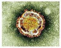 China virus deaths rise to 490 as more countries confirm local transmission