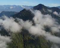 Indigenous leaders urge EU to protect forest homeland
