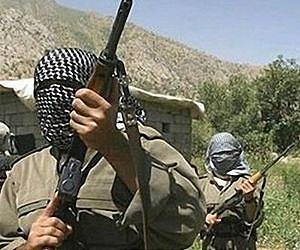 Kurd rebels forced from northwestern Iran: Guards