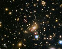 MUSE observations enable prediction of once-in-a-lifetime supernova replay