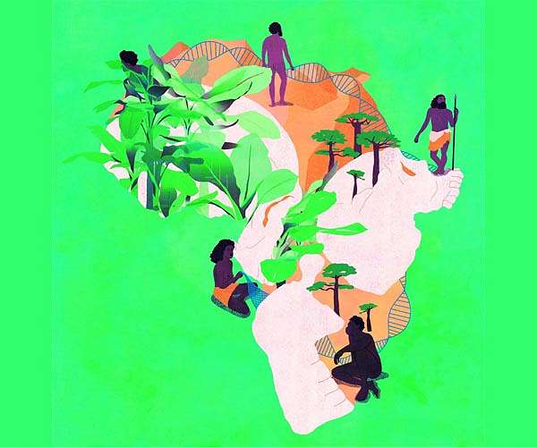 Out of Africa: The path of Homo sapiens