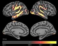 Grammatical patterns survive extreme social upheaval