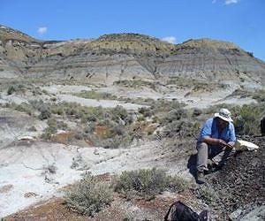 New evidence suggests comet or asteroid impact was last straw for dinosaurs