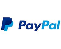 Paypal founder raises $100 mn for new payments startup