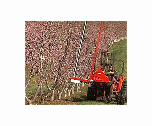 French fruit, vineyards endure coldest April day in 75 years