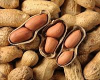 China craving for Senegal peanuts rattles local business