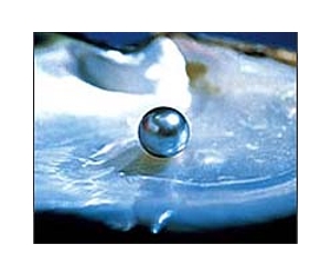 Scientists create artificial mother of pearl