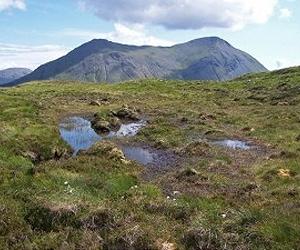 Walker's World: Scotland's year of decision