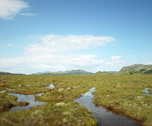 Finland's muddy fight over super-polluting peat energy