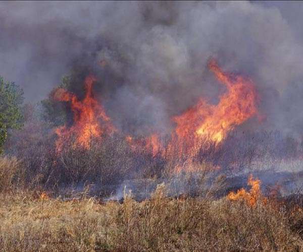 Firefighters battle peatland blazes as haze shrouds Indonesian city