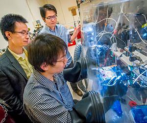 Artificial Forest for Solar Water-Splitting